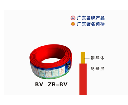 60227 IEC 01(BV) 60227 IEC 01(BV)